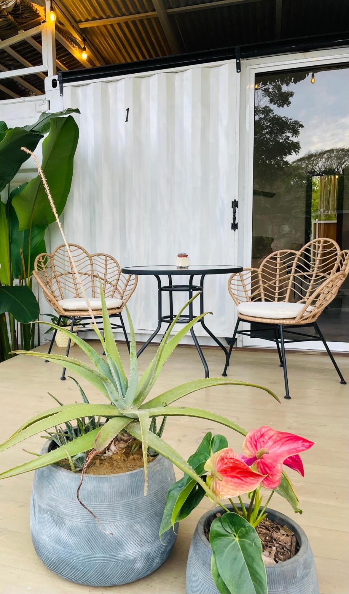 Casa Luce Acomodação com café da manhã Puerto Viejo de Talamanca Exterior foto